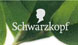 Studie. Produkt-Neuentwicklug. Im Auftrag der Agentur Solutions.